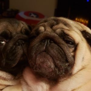 Meet your Posher, Christy a